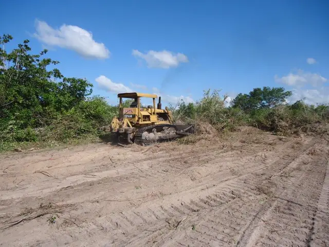 Canal de irrigação — Baixo Acaraú (CE): registro de campo 4