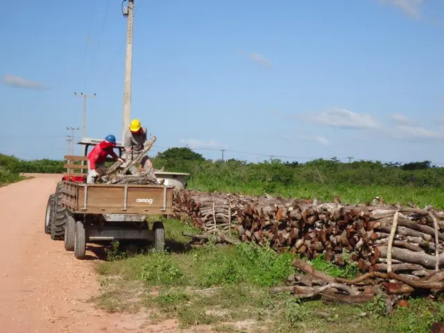 Canal de irrigação — Baixo Acaraú (CE): registro de campo 5