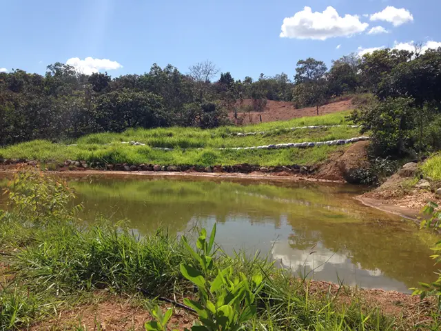 Projeto de controle de erosão: registro de campo 1