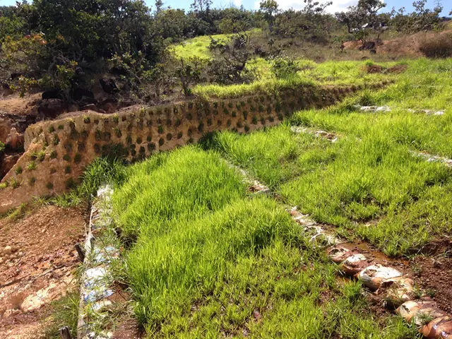 Projeto de controle de erosão: registro de campo 3