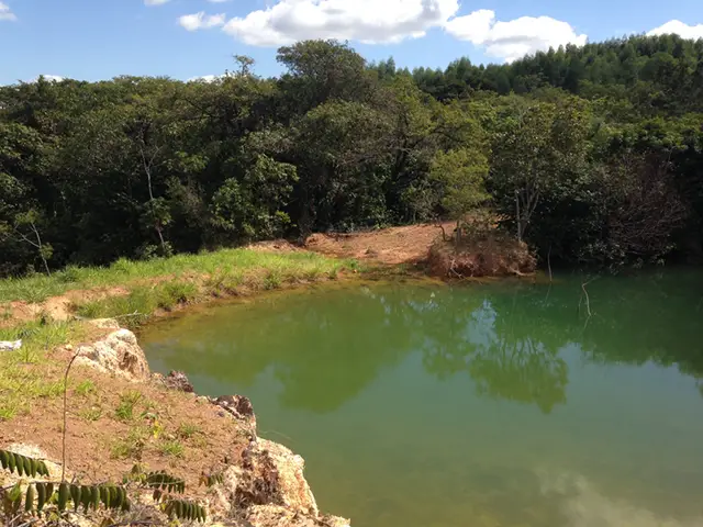 Projeto de controle de erosão: registro de campo 4