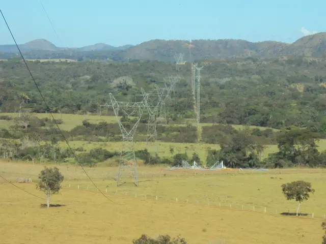 Linhas de transmissão: registro de campo 3