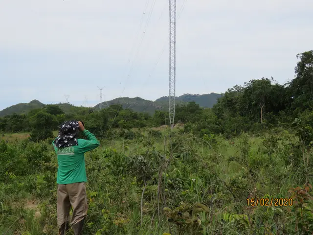 Monitoramento de aves em torres de linha de transmissão: registro de campo 5