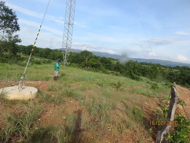 Monitoramento de aves em torres de linha de transmissão: registro de campo 6