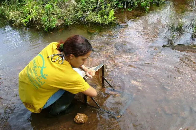 Coleta de macroinvertebrados bentônicos — Monitoramento de fauna