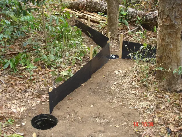 Armadilha de interceptação e queda (pit-fall) — Monitoramento de fauna