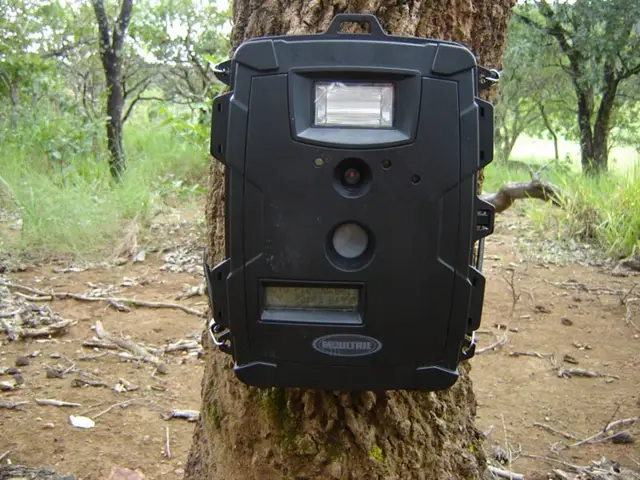 Armadilha fotográfica — Monitoramento de fauna