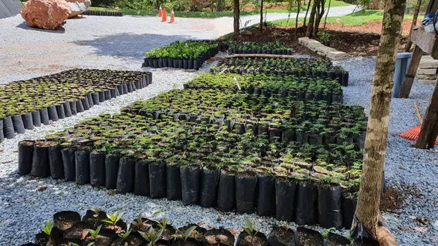 PRAD: registro de campo 1