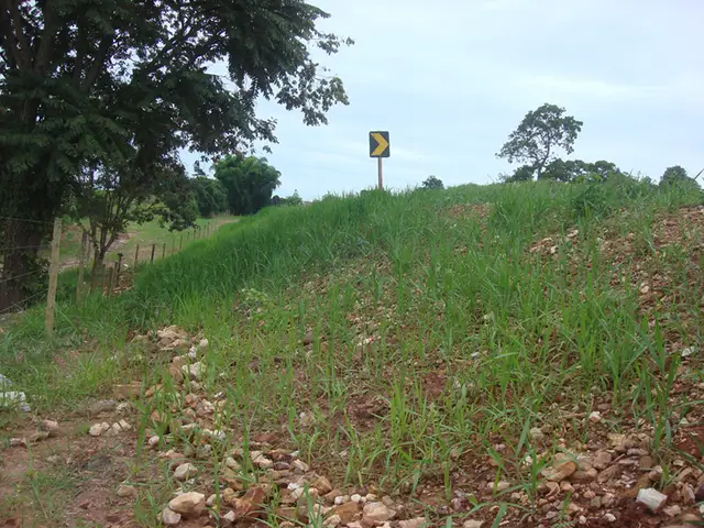 PRAD: registro de campo 7